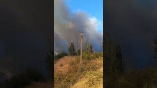 Çanakkale Yangını İntepeye Ilerledi İntepe Boşaltılıyor.
