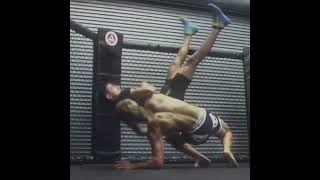 Sage Northcut Ufc Edit