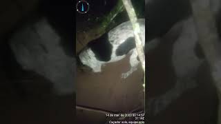 Olha O Que Deu Ontem