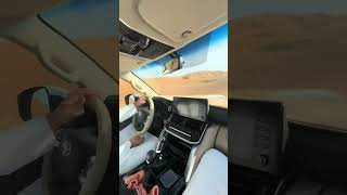 Book Safari Tour Enjoy Red Dune Safari And Buggy 971543385433