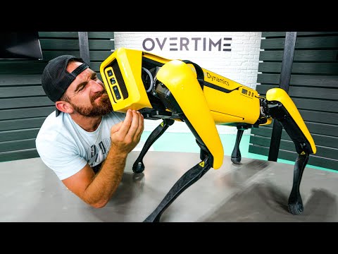 Real Life Robot Dog | OT 17