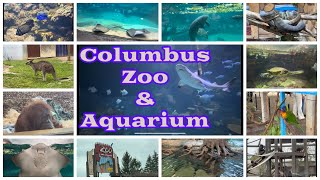 Is The Columbus Zoo Worth Visiting? Tour & Review