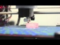 Time lapse 3D print of brain