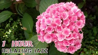 Relaxing Jazz (non copyright) house jazz music ジャズ