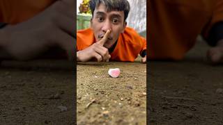 Millipedes Apparently Like Love-Shapedcandy