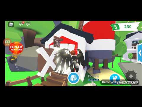 sorteo de buey de metal!!! sorteo de buey de metal!!!