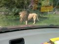 Zoo Denmark
