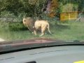 Zoo Denmark