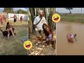 😂Best Funny Videos compilation || funny peoples life - Fail And Pranks #68