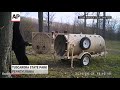 Raw: Sneaky Bear Gets Back Rub, Snags Doughnut