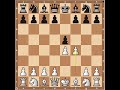 chess openings
