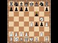 chess openings