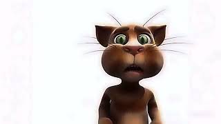 Leo Le Chat Uhd And Widescreen 2011 Tom France Cousin
