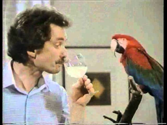 Pepita