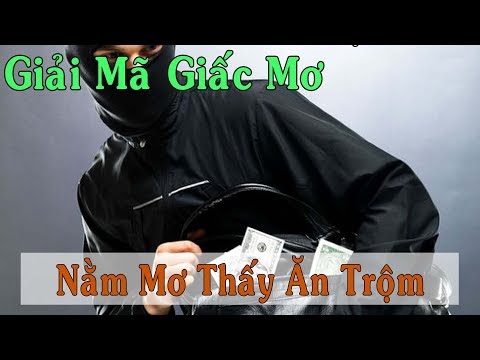 Giải Mã Giấc Mơ : Nằm mơ thấy ăn trộm đánh con gì ?