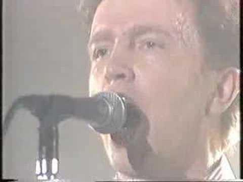 Grey Cortina Video