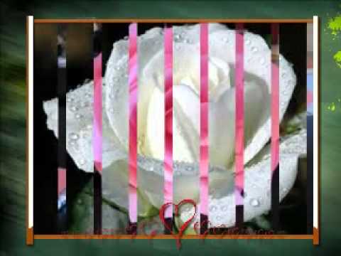 Wada Na Tod Dil Tujhko Diya HD Full Song