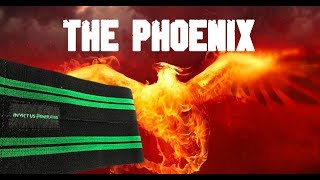 The Phoenix