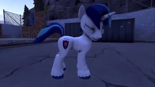 Shining Armor Farts Educational