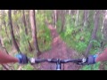 Scona Rd/Old Timers Cabin singletrack