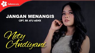 Nety Andiyani - Jangan Menangis ( Music )