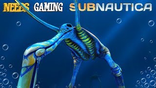 What Are These? Subnautica 27