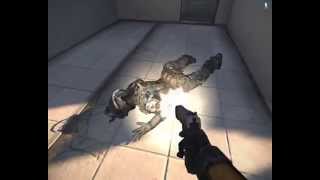 Half-Life2 In Arma3 Nps Project Pistol Is Ready