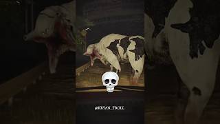 Cow Cant Be Scary