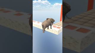 Animal