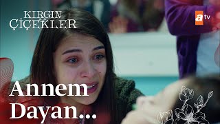 Mesudenin Kalbi Duruyor - Kırgın Çiçekler 77.Bölüm