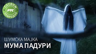 Sasvim Prirodno Šumska Majka Muma Paduri Jovan Memedović