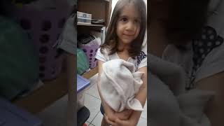 Alice Cuidando Da Baby Alive As Nenéns