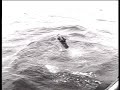 This week In Britain Isle of Man lifeboat