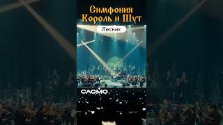 Симфония Король И Шут - Лесник |  Cagmo Live | Большой Концерт В Москве #Cagmo #Киш #Корольишут