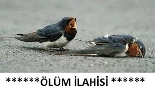 Ölüme Hazırmısın Dostum-Murat Durgun-Süper Ilahi 2020Ölüm Ilahisi