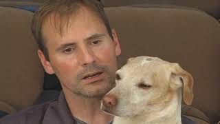 Chester The Bed Bug Dog Full Video