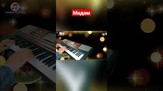 Cover Korg Pa 700 #Тойырлары #Korgmusic