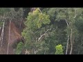 image Perkampungan Orang Asli Yang Aneh Di