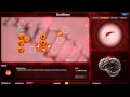 BRAIN DESTROYING NEURAX WORM FROM EGYPT!!! - Plague Inc #4  | Docm77