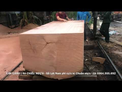 CẬN CẢNH | Xẻ 1 tấm CHIẾU NGỰA gỗ LÁT Nam phi 2m40x1m1x20cm CHUẨN MỰC - Lh 0964.555.692 ( P1 )