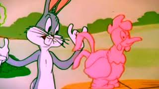 Sevimli Kahramanlar - Bugs Bunny - Tazmanya Canavarı - Road Runner - Hüptirik Tv Türkçe Hd