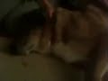 Canine seizure