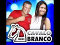 BICHO FULEIRO FORRO CAVALO BRANCO BICHO FULEIRO FORRO CAVALO BRANCO