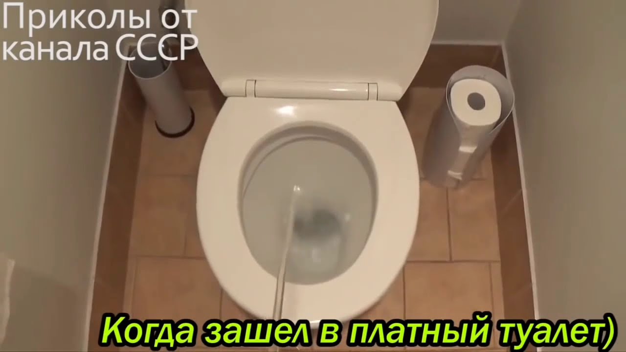 Вовремя захотел в туалет фото