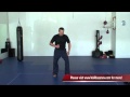 Understanding the Mechanics of Ballistic Striking