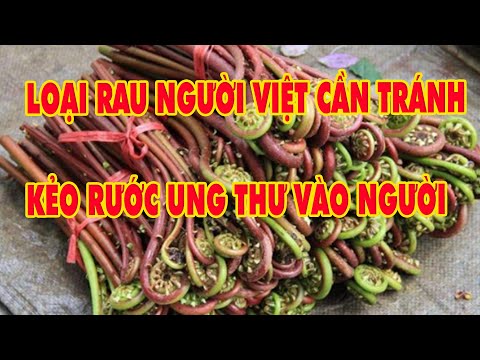 LOẠI RAU CHỨA CHẤT UNG THƯ CỰC MẠNH- ĐƯỢC WHO CẢNH BÁO- NGƯỜI VIỆT THÍCH ĂN | SỐNG KHỎE 12
