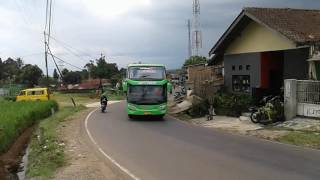Telolet Shd Bus Gnf Trans 57