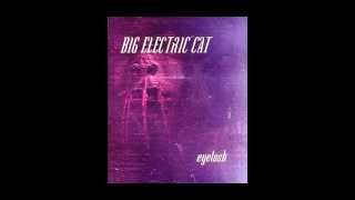 Watch Big Electric Cat Transience video