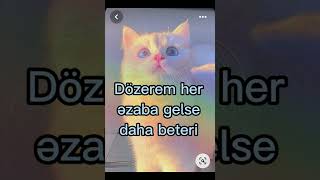 Damla Men Razi