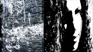 Perceptions - Dear Insanity